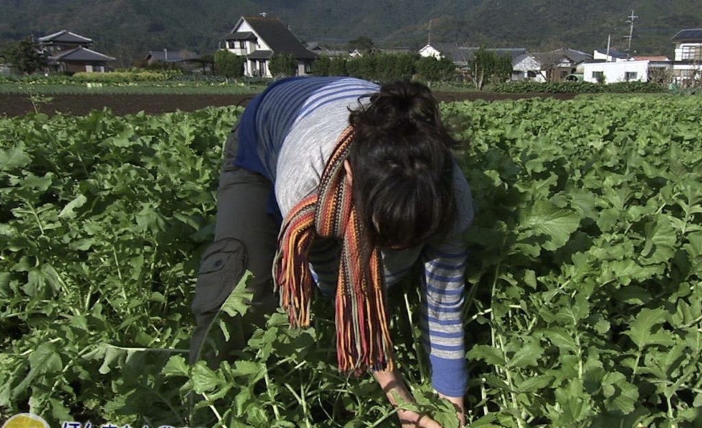 （6月議会の質問）　学校給食についてこだわってほしい！