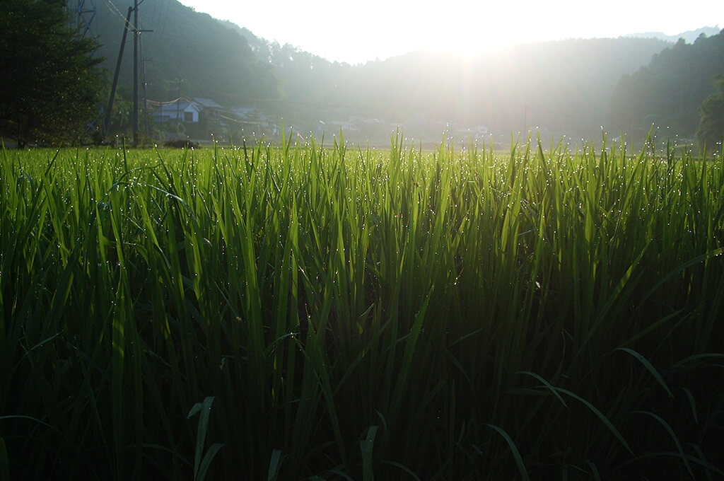 風景